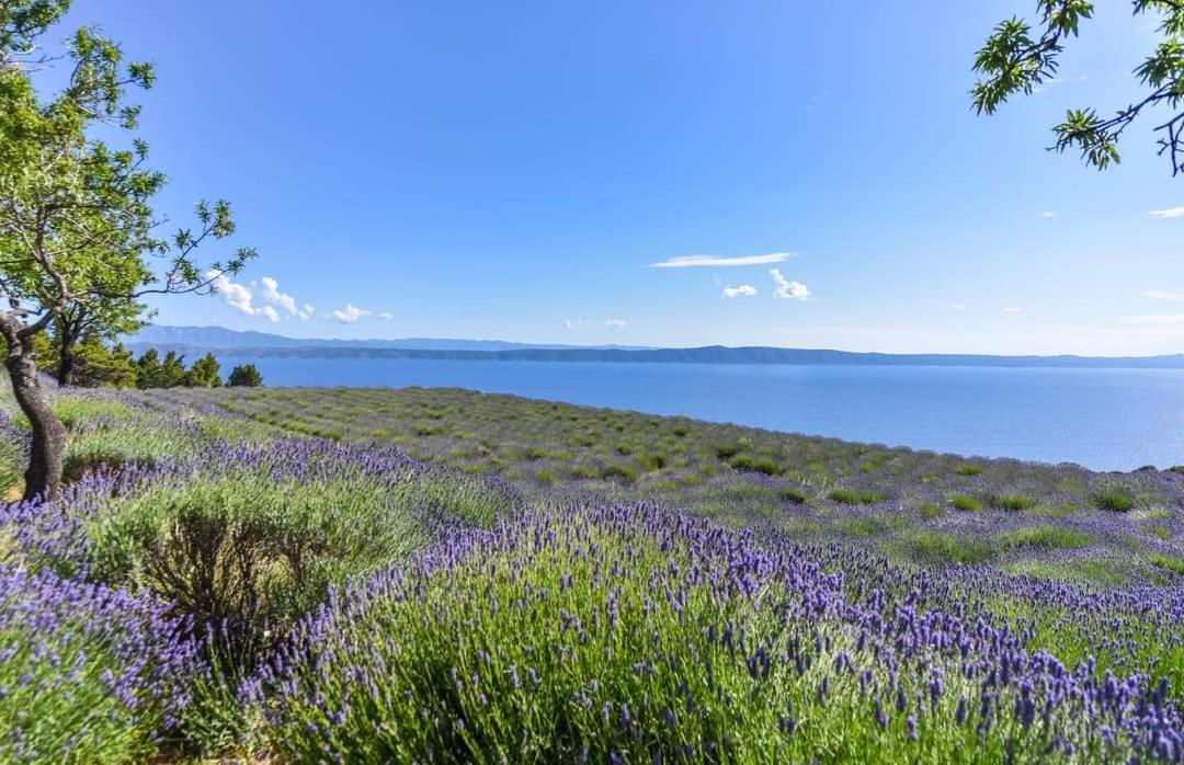 Sea View Apartments M Podgora Dış mekan fotoğraf
