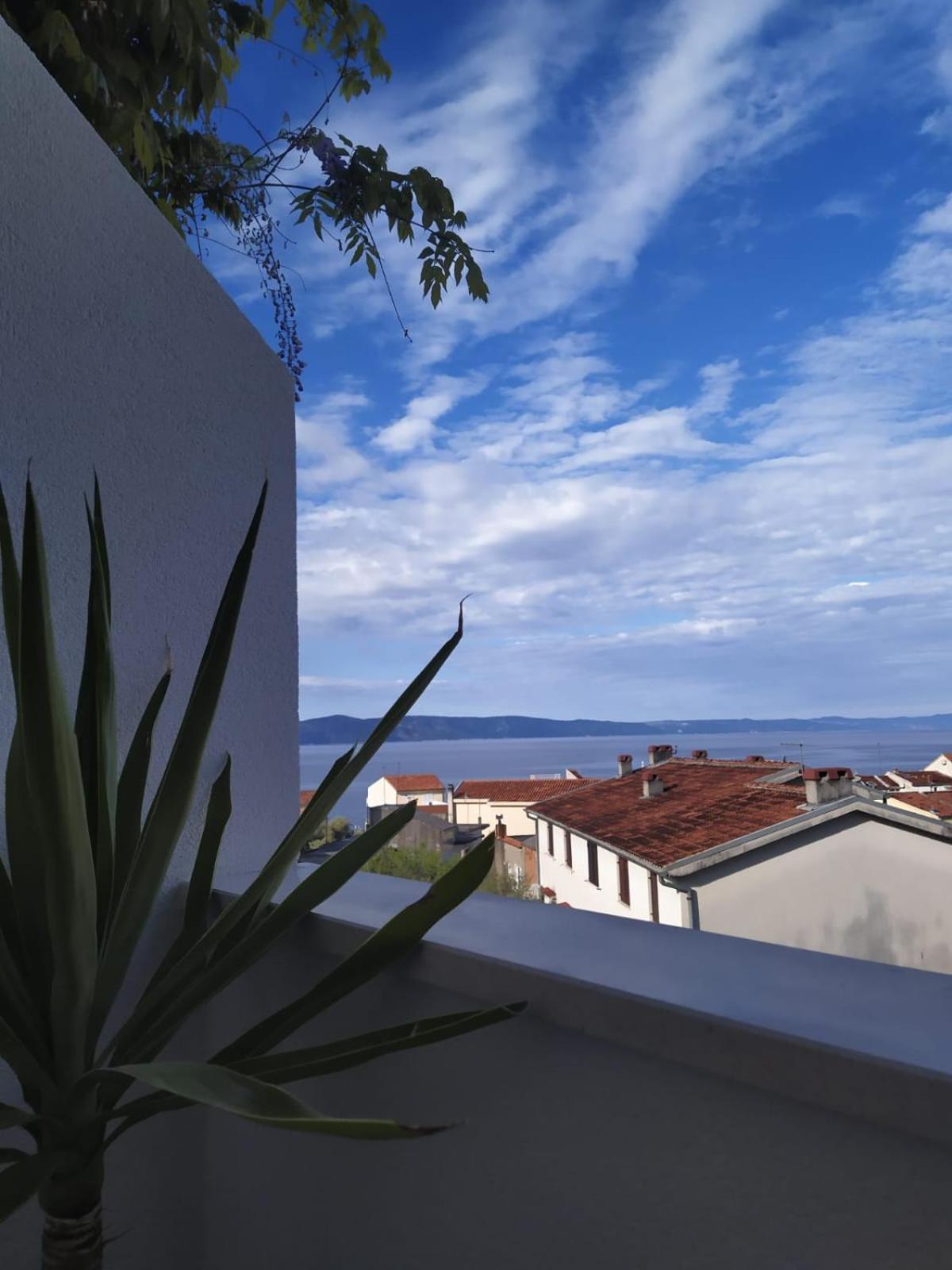 Sea View Apartments M Podgora Oda fotoğraf